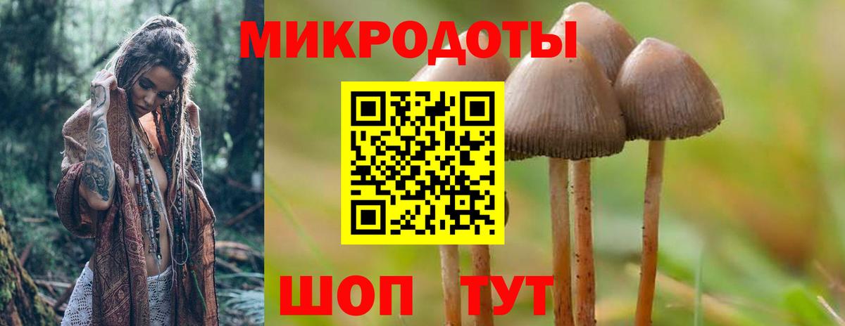 Галлюциногенные грибы Psilocybine cubensis  Псилоцибиновые грибы мухоморы  Вход с VPN  Луга 
